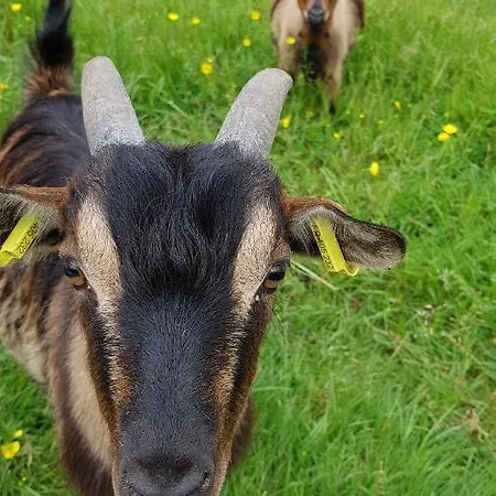 ファームステイ La Ferme De Piardiere *